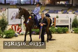 25R1516_01352 thumbnail