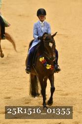 25R1516_01355 thumbnail