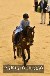25R1516_01356 thumbnail