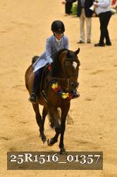 25R1516_01357 thumbnail