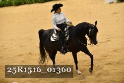 25R1516_01360 thumbnail