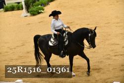 25R1516_01361 thumbnail