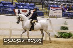 25R1516_01363 thumbnail