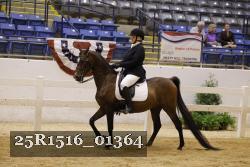 25R1516_01364 thumbnail