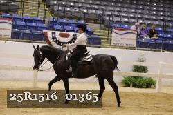 25R1516_01365 thumbnail