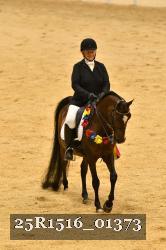 25R1516_01373 thumbnail