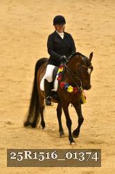 25R1516_01374 thumbnail