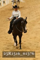 25R1516_01376 thumbnail