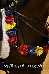 25R1516_01378 thumbnail