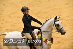 25R1516_01381 thumbnail