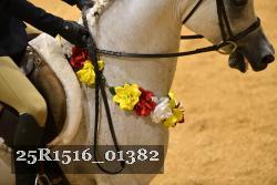 25R1516_01382 thumbnail