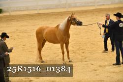 25R1516_01384 thumbnail