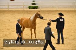 25R1516_01385 thumbnail
