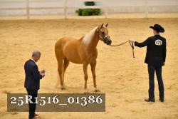 25R1516_01386 thumbnail