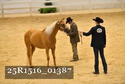 25R1516_01387 thumbnail