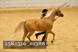 25R1516_01388 thumbnail