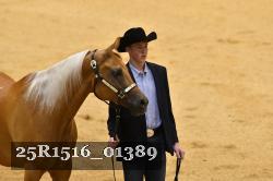 25R1516_01389 thumbnail