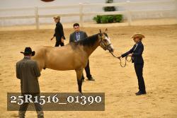 25R1516_01390 thumbnail