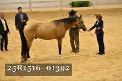 25R1516_01392 thumbnail