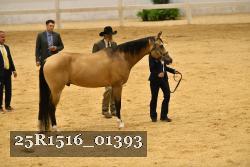 25R1516_01393 thumbnail