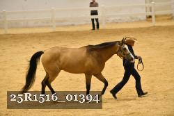 25R1516_01394 thumbnail