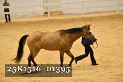 25R1516_01395 thumbnail