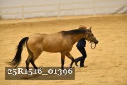 25R1516_01396 thumbnail