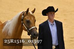 25R1516_01397 thumbnail