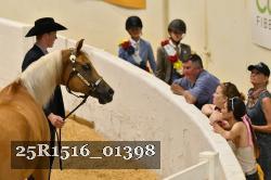 25R1516_01398 thumbnail