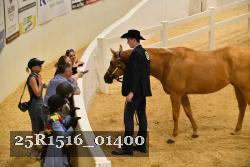25R1516_01400 thumbnail