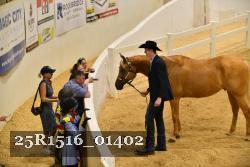 25R1516_01402 thumbnail