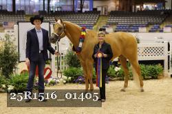25R1516_01405 thumbnail