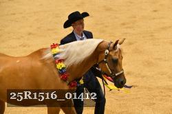 25R1516_01412 thumbnail