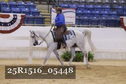 25R1516_05448 thumbnail
