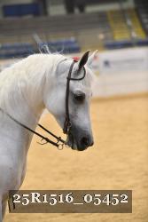 25R1516_05452 thumbnail