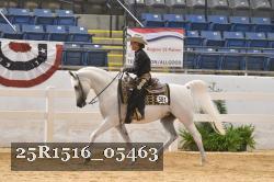 25R1516_05463 thumbnail