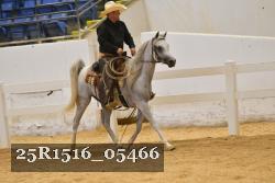 25R1516_05466 thumbnail