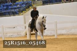 25R1516_05468 thumbnail