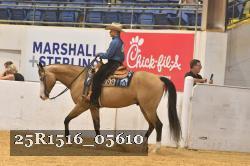 25R1516_05610 thumbnail
