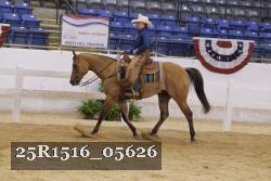 25R1516_05626 thumbnail