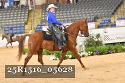 25R1516_05628 thumbnail