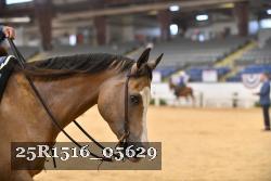 25R1516_05629 thumbnail