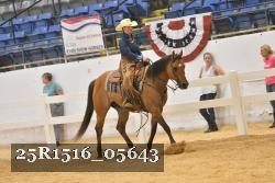 25R1516_05643 thumbnail