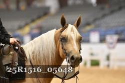25R1516_05648 thumbnail