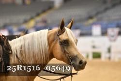 25R1516_05649 thumbnail