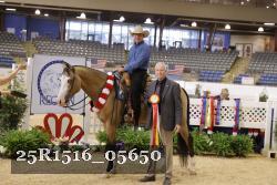 25R1516_05650 thumbnail