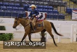 25R1516_05665 thumbnail