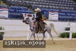 25R1516_05099 thumbnail