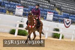 25R1516_05108 thumbnail