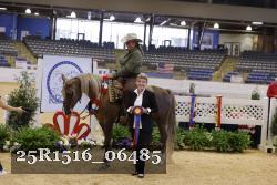 25R1516_06485 thumbnail